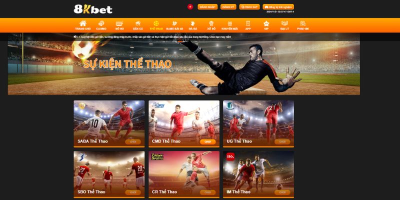 Phương thức đặt cược thể thao được đánh giá cao hiện nay