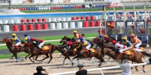 Cược Đua Ngựa – Kinh nghiệm hay tăng cơ hội thành công