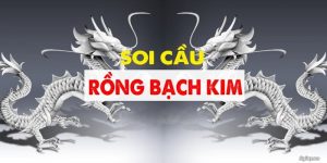 Khám Phá Rồng Bạch Kim - Công Cụ Phân Tích Lô Đề Chính Xác
