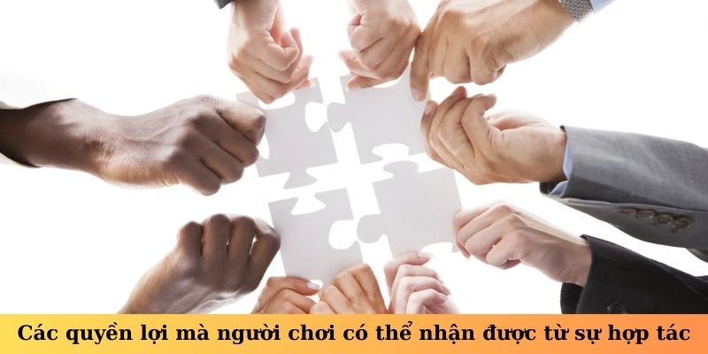 Các quyền lợi mà người chơi có thể nhận được từ sự hợp tác này